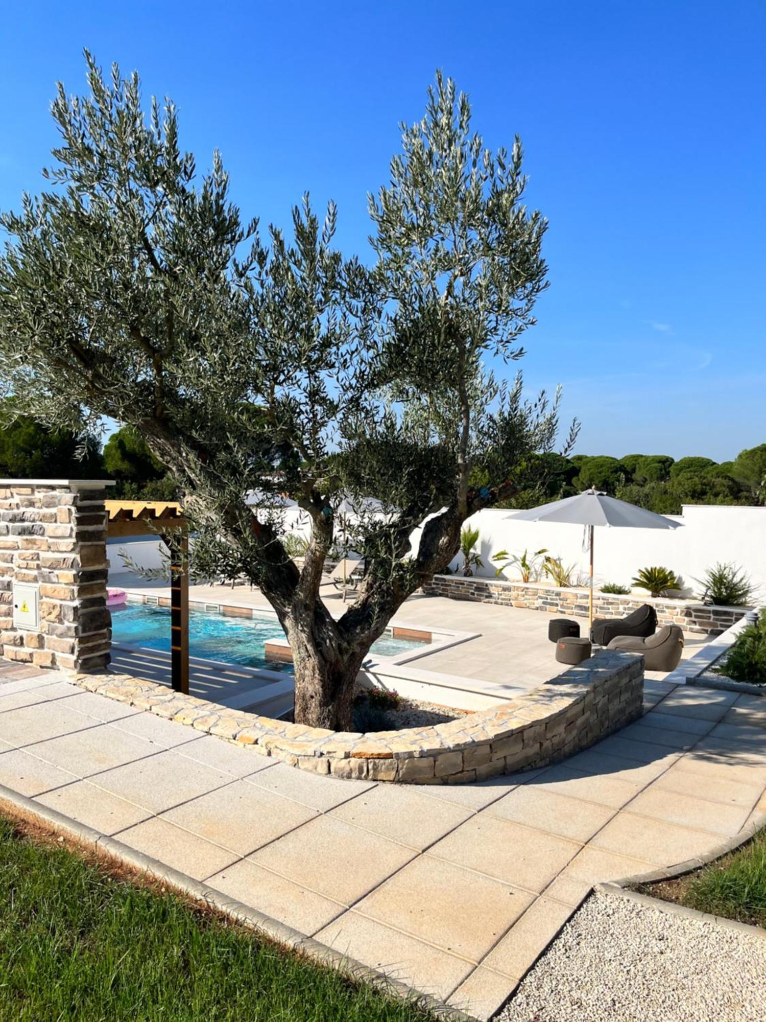 Olivea Luxury Suites Fažana Esterno foto